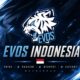 Profil EVOS Indonesia: Sejarah, Prestasi, dan Fakta Menarik Sang Macan Putih